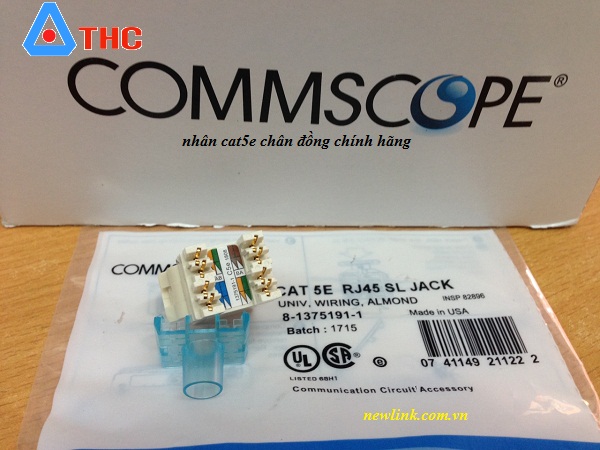 Nhân mạng âm tường RJ45, Cat5 Commscope